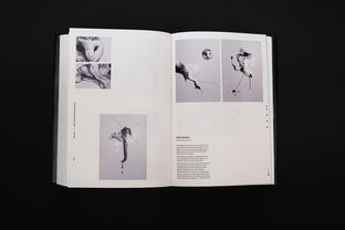 純凈邊境 《Pure North》書籍設(shè)計(jì)的美學(xué)探析